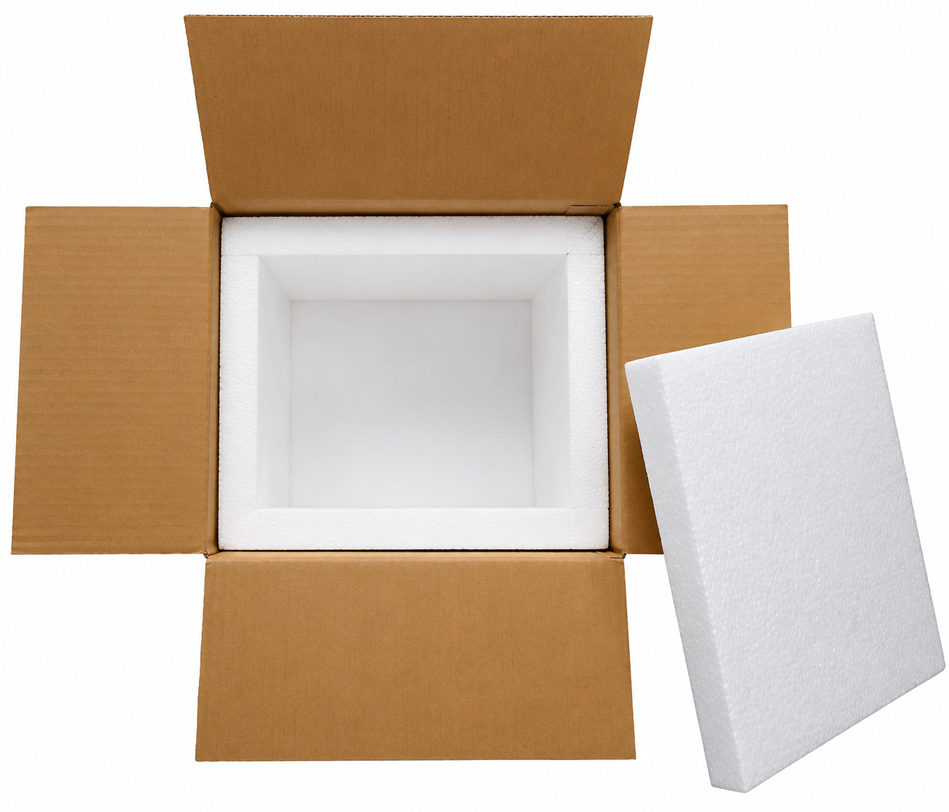 Insulated bag with ice packs / Double wall box