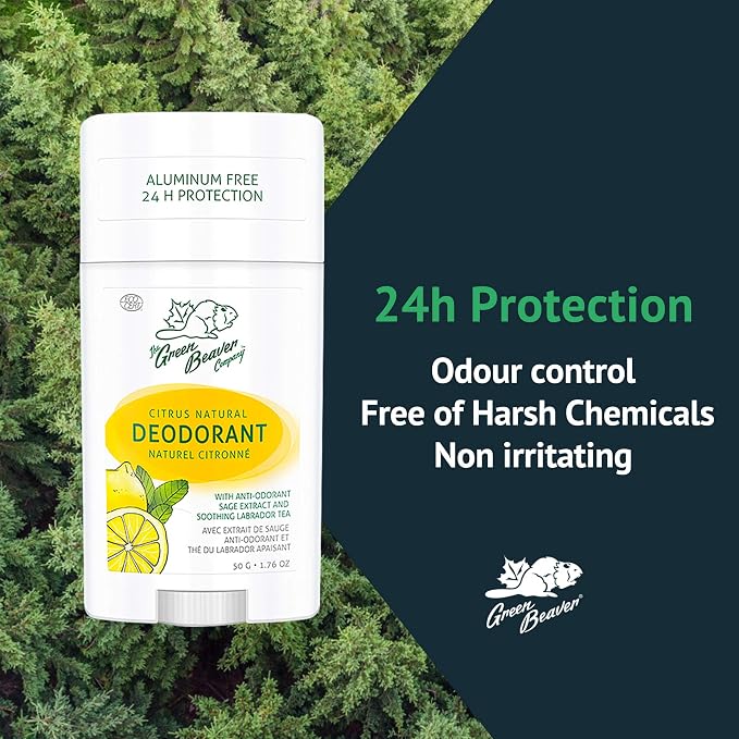 Green Beaver Citrus Natural Deodorant product beside evergreen foliage with 24-hour odor protection message