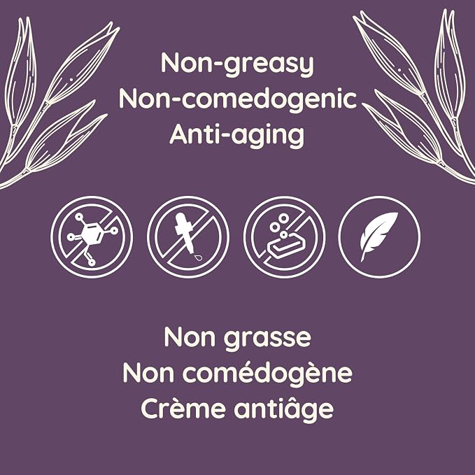 Aveeno Absolutely Ageless Night Cream non-greasy and non-comedogenic formula details